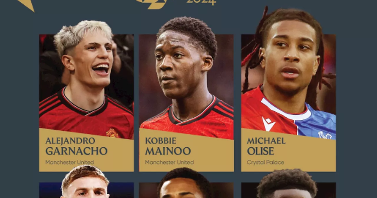 Two Man United players nominated for prestigious PFA award