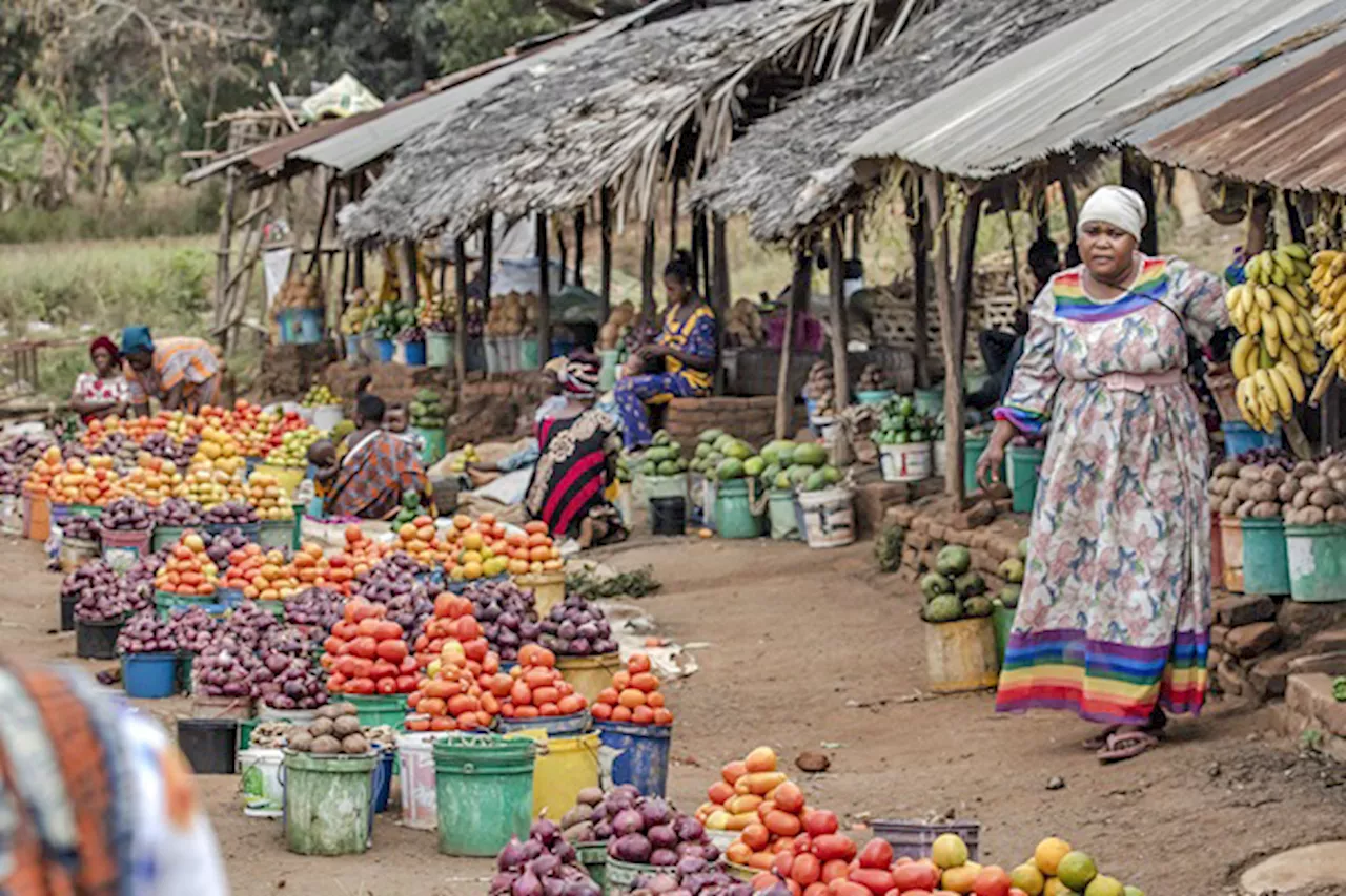 Healthy diets remain unaffordable for a third of the world—UN