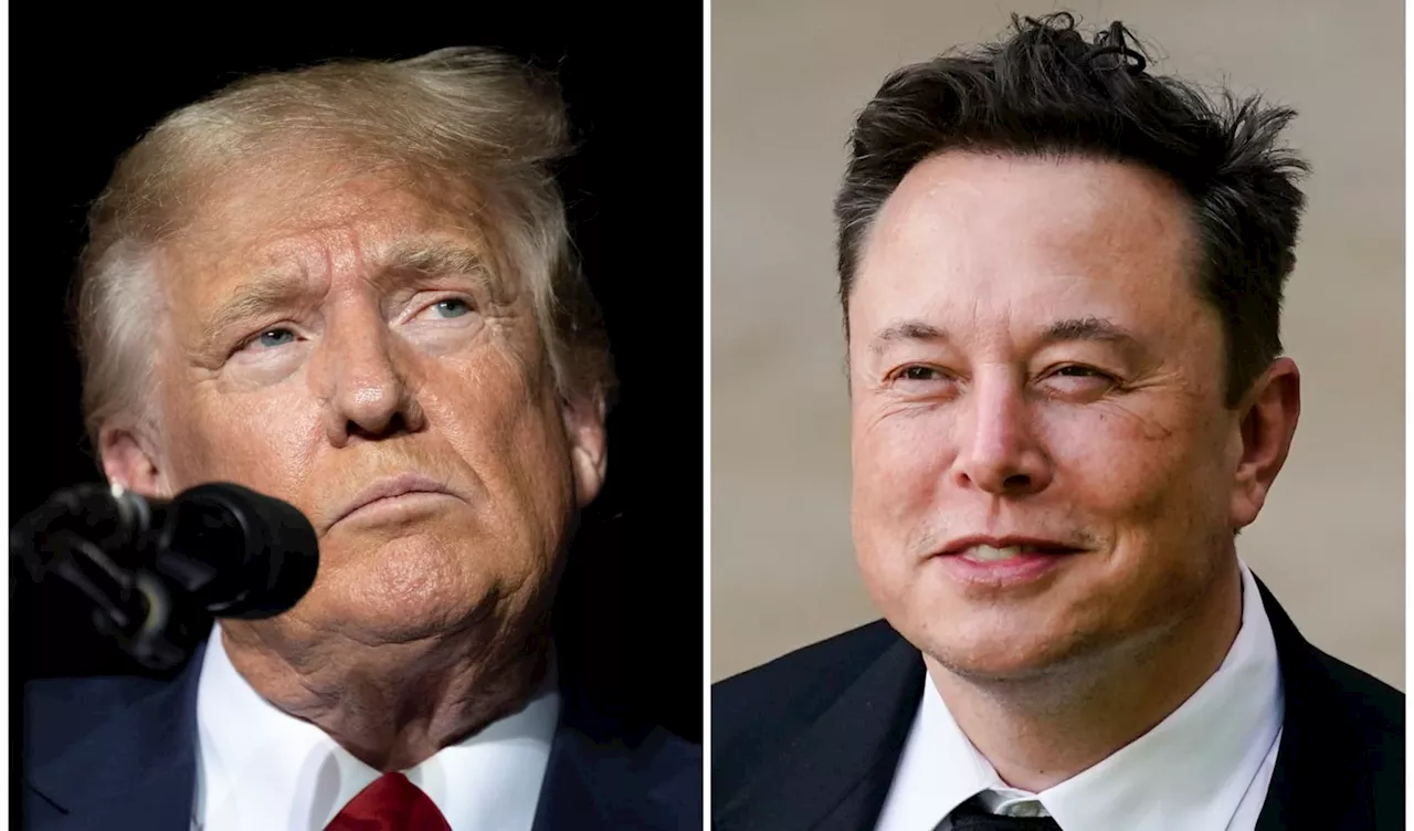 Musk to interview Trump on X, as Harris reshapes presidential race