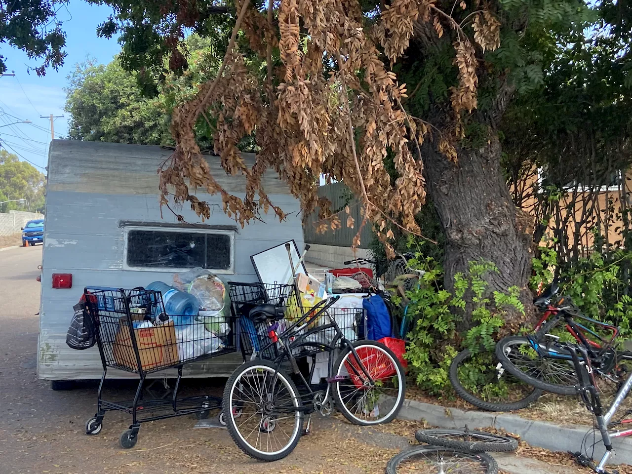 Homeless encampments cause concern for Spring Valley residents