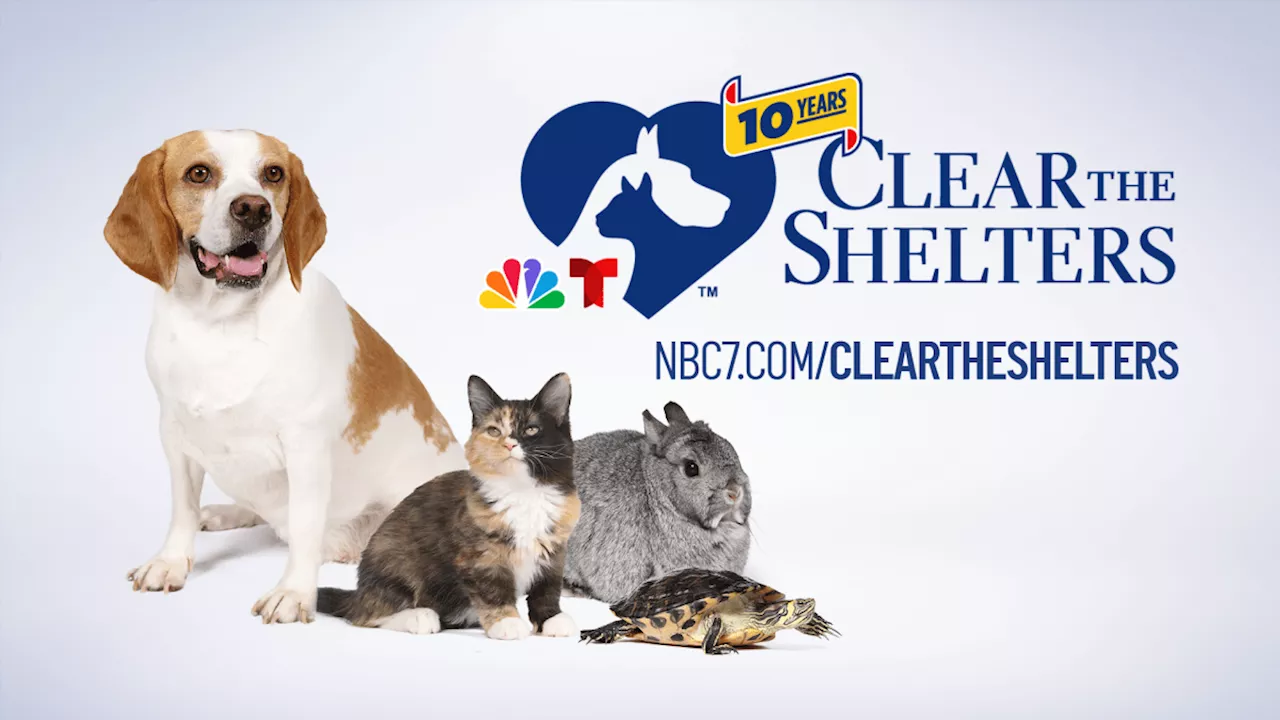 NBC 7 & Telemundo 20's annual pet adoption campaign, ‘Clear the Shelters', underway through September 10