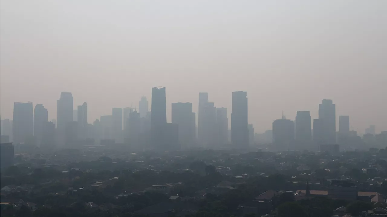 Exploring the link between air quality and mood: a new measure of climate sensitivity