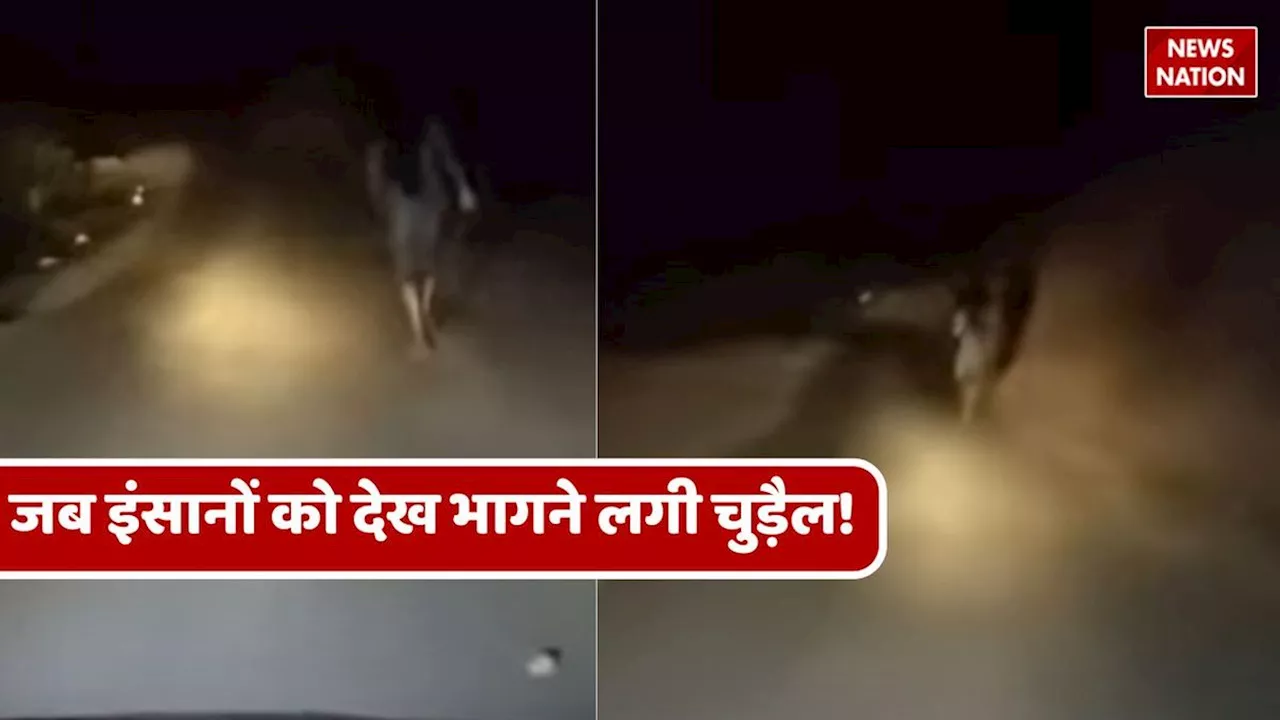 Viral Chudail Video : इंसानों को देख जान बचाकर भागने लगी चुड़ैल, वायरल हो रहा है वीडियो!