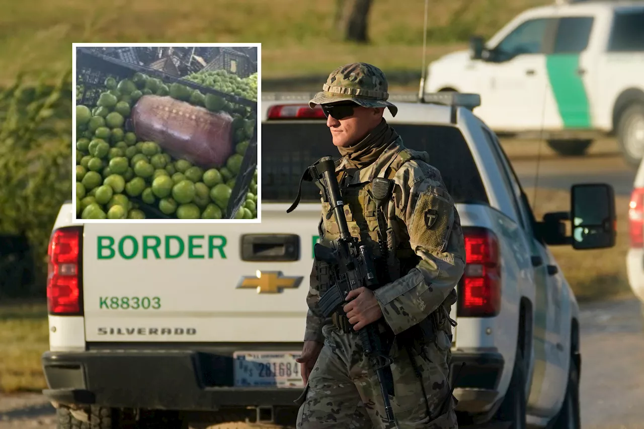 Border Agents Seize 378 Pounds Of Meth Hidden In Tomatillos Shipment