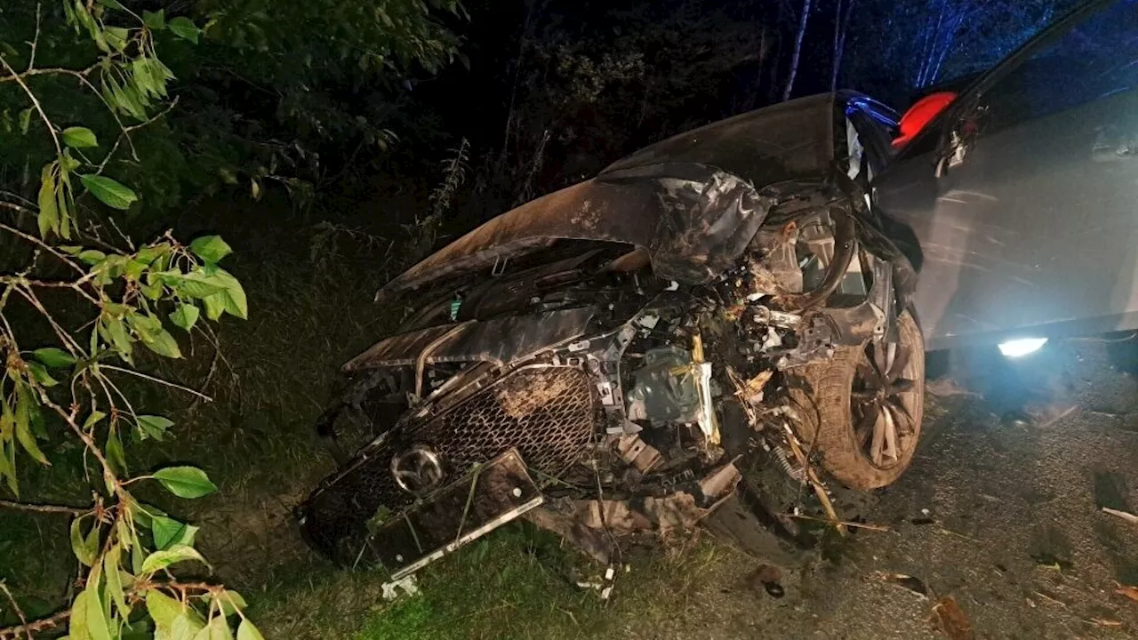 Auto krachte in zwei Meter Höhe gegen Baum: Lenker nicht auffindbar