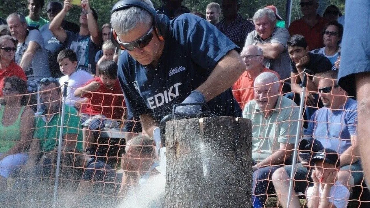 Waldviertel vs. Mühlviertel: Die Holzhacker matchen sich in Karlstift