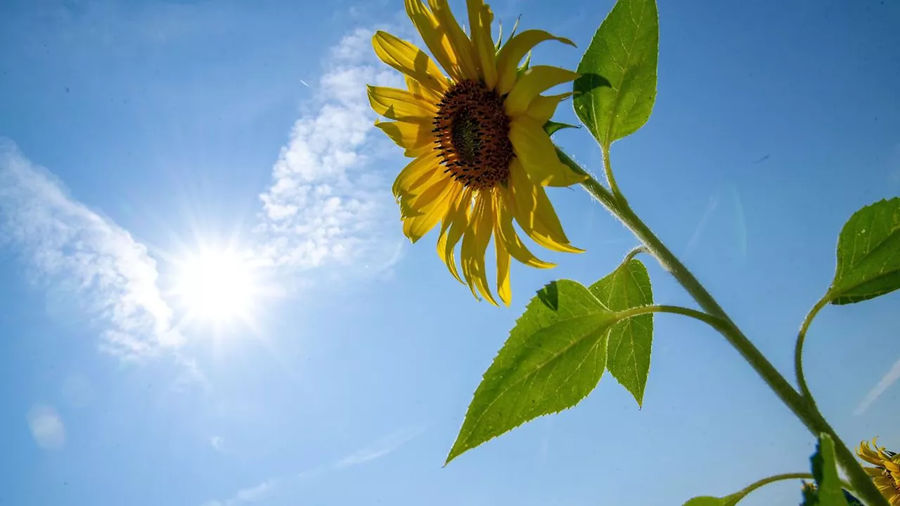 Hessen: Hitzewarnung für Hessen - bis 35 Grad erwartet