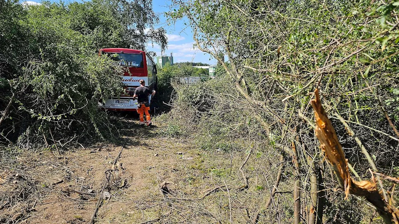 Sachsen: Unfall mit Reisebus: Medizinisches Problem beim Fahrer