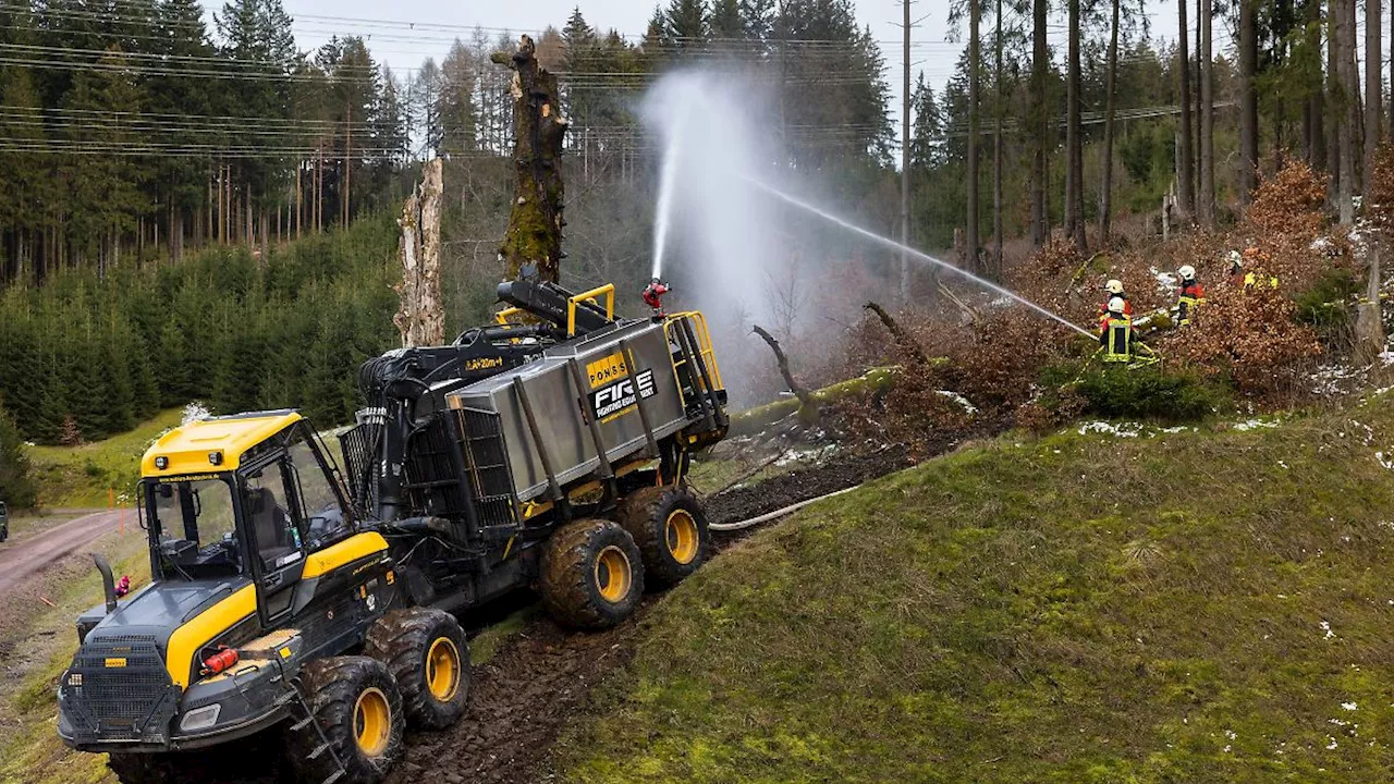 Thüringen: Mittlere bis hohe Waldbrandgefahr in Thüringen