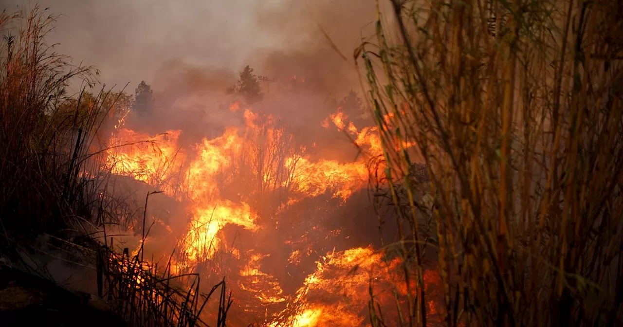 Fortschritte im Kampf gegen Feuersbrunst in Griechenland