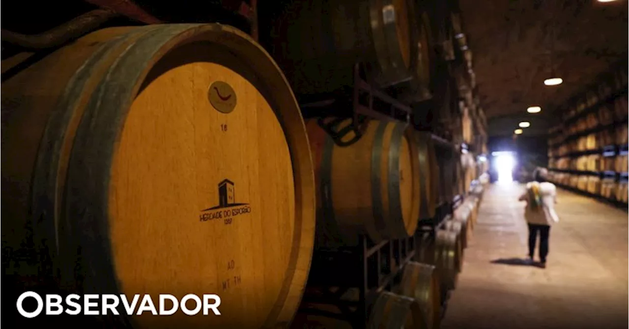 Exportações de vinhos portugueses sobem 8,5% em volume e 1,25% em valor até junho