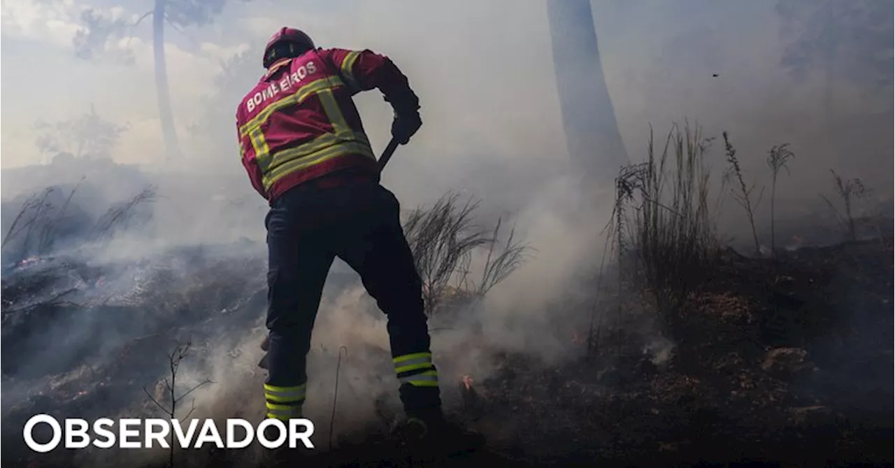 Incêndios: fogo em Vimioso 'já está dominado'