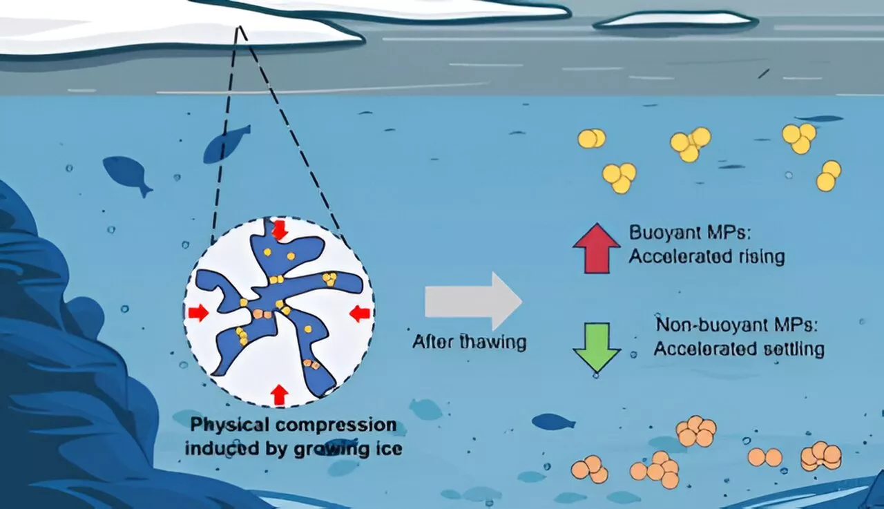 Getting trapped in freshwater ice changes microplastics' sink-or-swim tendencies