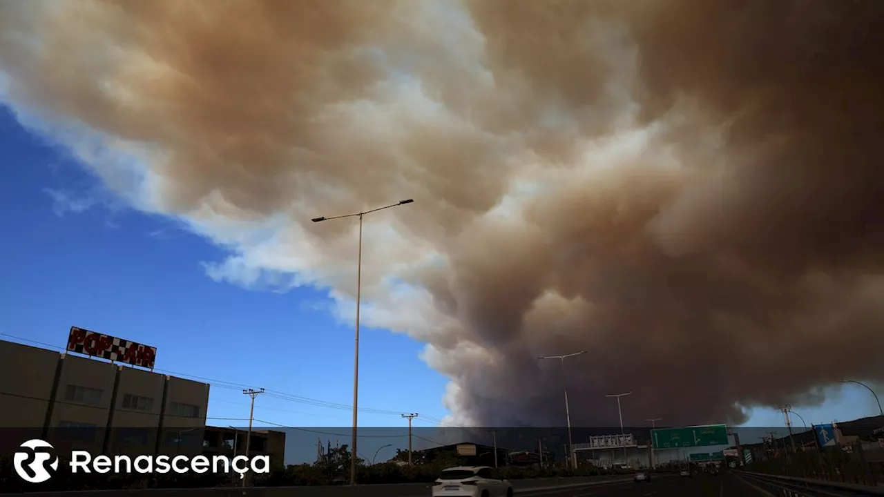 Incêndios. Milhares de pessoas retiradas com fogo nos arredores de Atenas