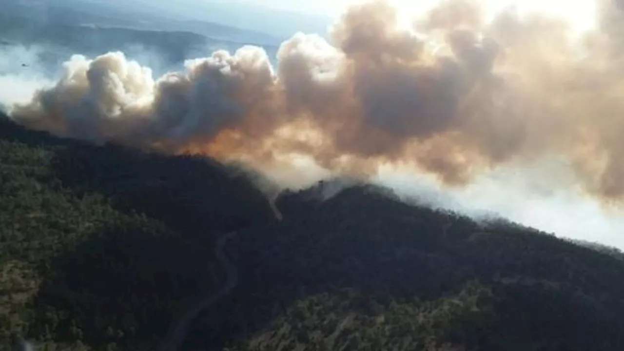 El incendio forestal de Corbalán, en Teruel, evoluciona 'muy favorablemente' tras quemar cerca de 300 hectáreas