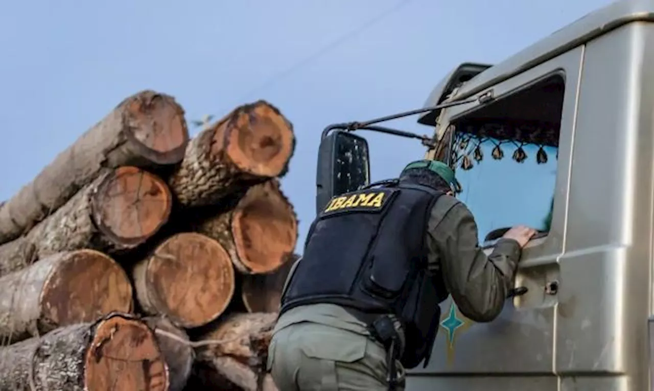 Servidores ambientais aceitam proposta do governo federal e encerram greve