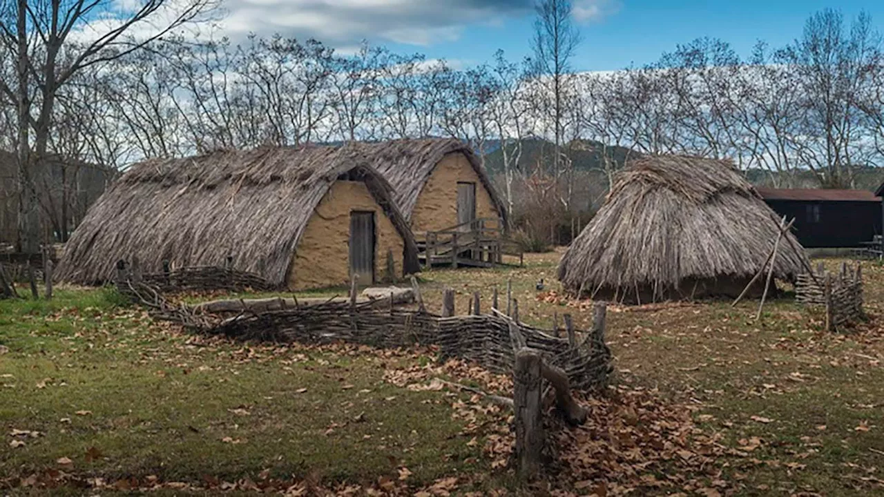 Seeds of Civilization: Scientists Unearth 7,000-Year-Old Farming Secrets in Western Europe