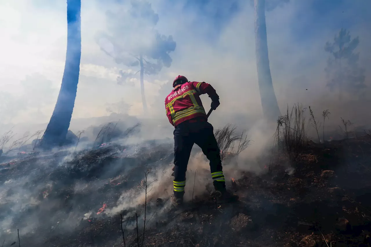 Fogo em Montesinho está a ceder, bombeiros esperam que entre em resolução em breve