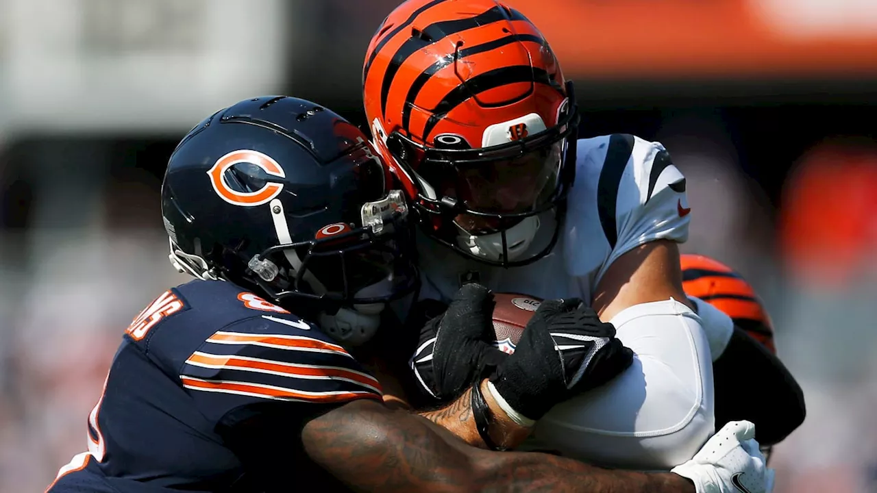 Bengals Will Reportedly Rest Starters; What About Bears?