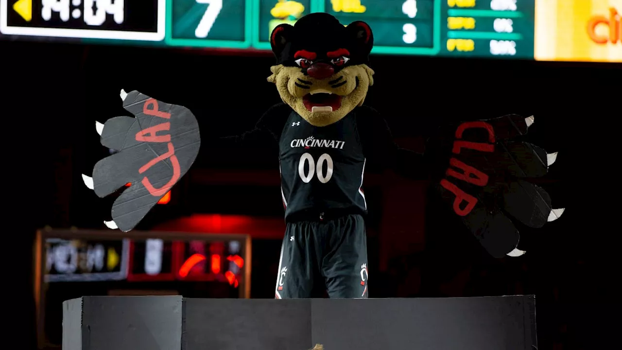 Cincinnati Bearcats BasketbalAssistant Tim Buckley Reveals What Drew Him to Cincinnat