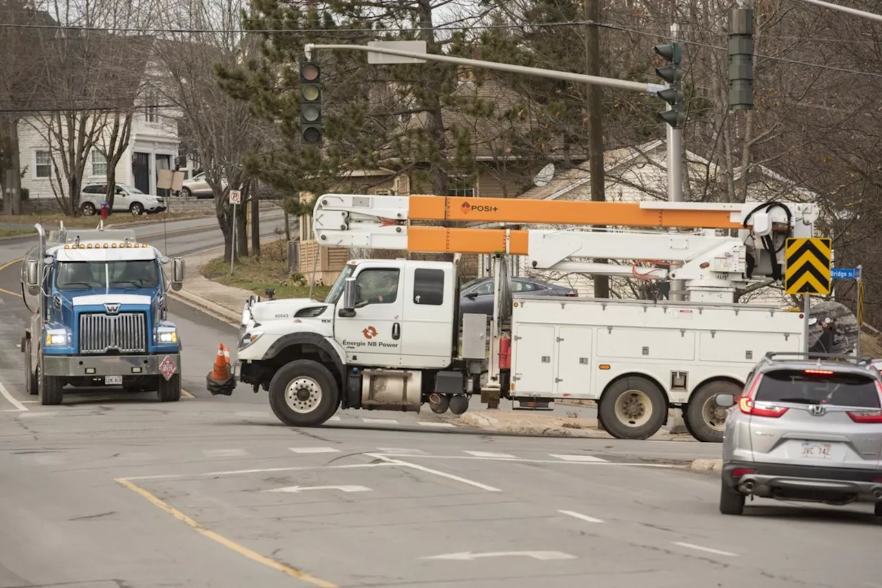 Bird on a wire: New Brunswick Power blames ospreys for outages on sunny days