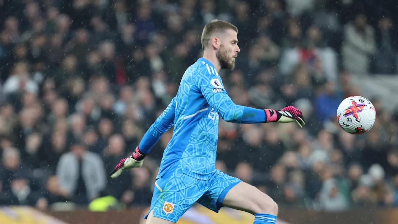 Internationaler Fußball: Ex-United-Torwart David de Gea hat neuen Klub