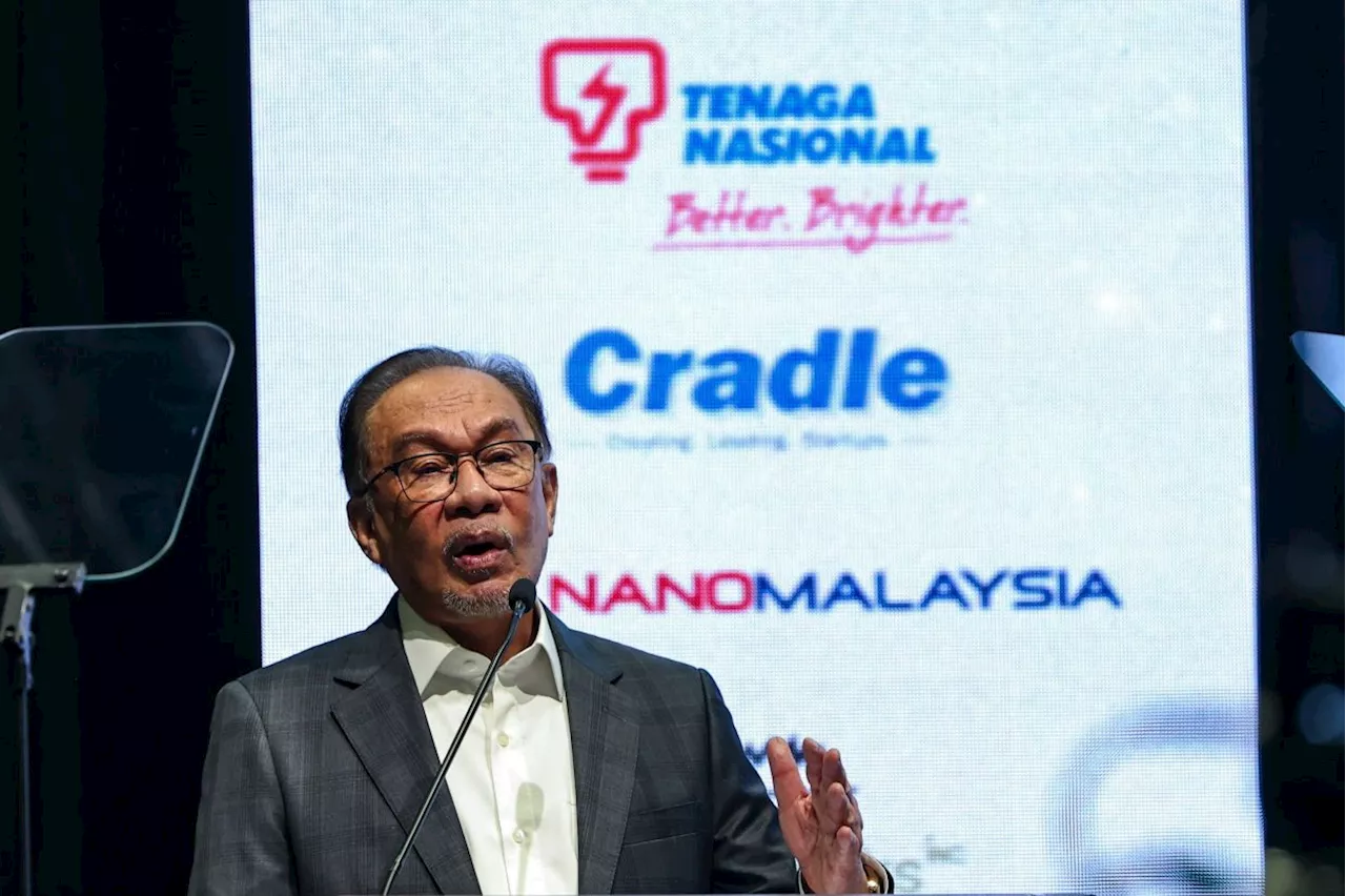 Public-funded bodies should avoid 'excesses', not mimic private firms, says Anwar