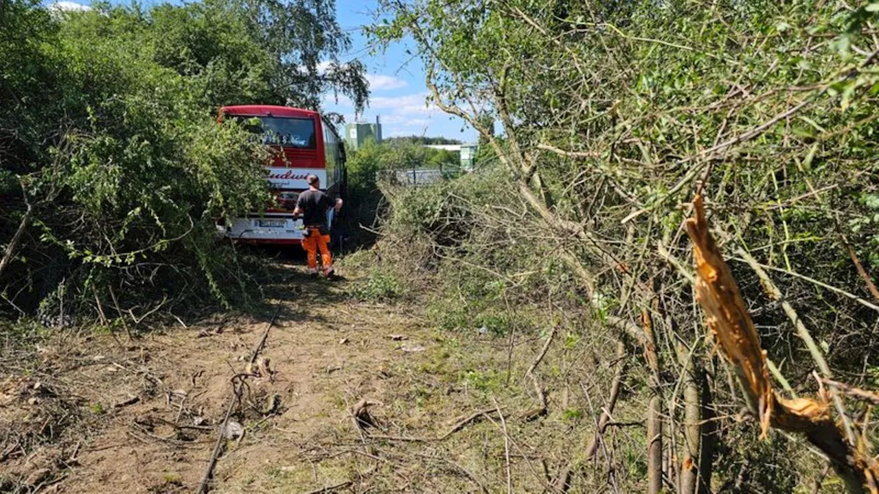 Busunfall: Unfall mit Reisebus: Medizinisches Problem beim Fahrer