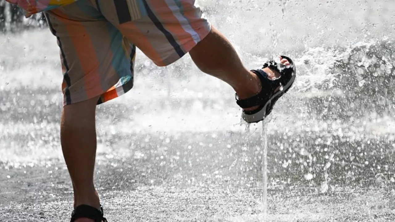 Jahres-Höchstwert: 35,7 Grad in Rheinland-Pfalz gemessen