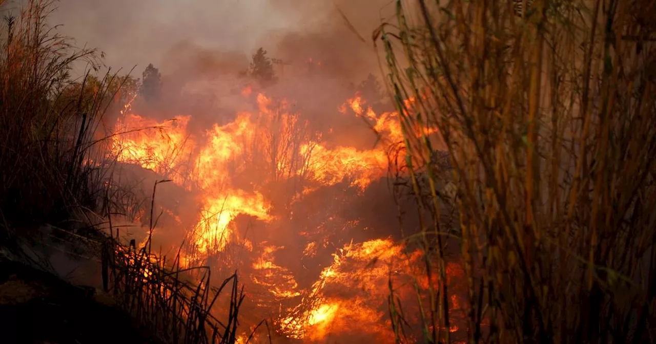 Fortschritte im Kampf gegen Feuersbrunst in Griechenland