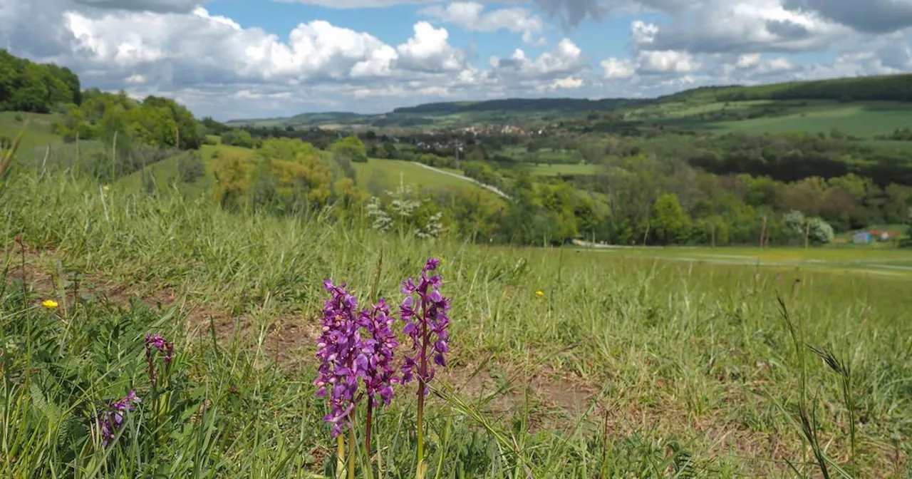 Naturwunder in Deutschland nominiert – Attraktion aus dem Saarland dabei