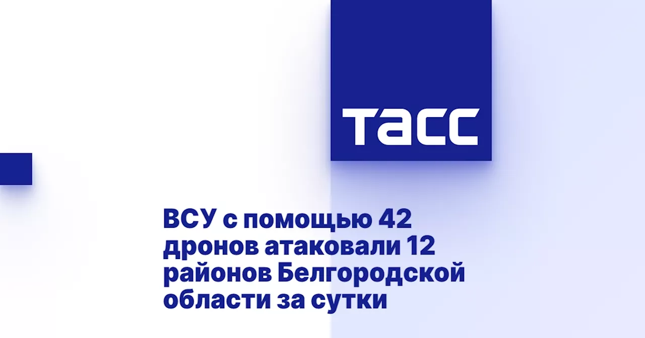 ВСУ с помощью 42 дронов атаковали 12 районов Белгородской области за сутки