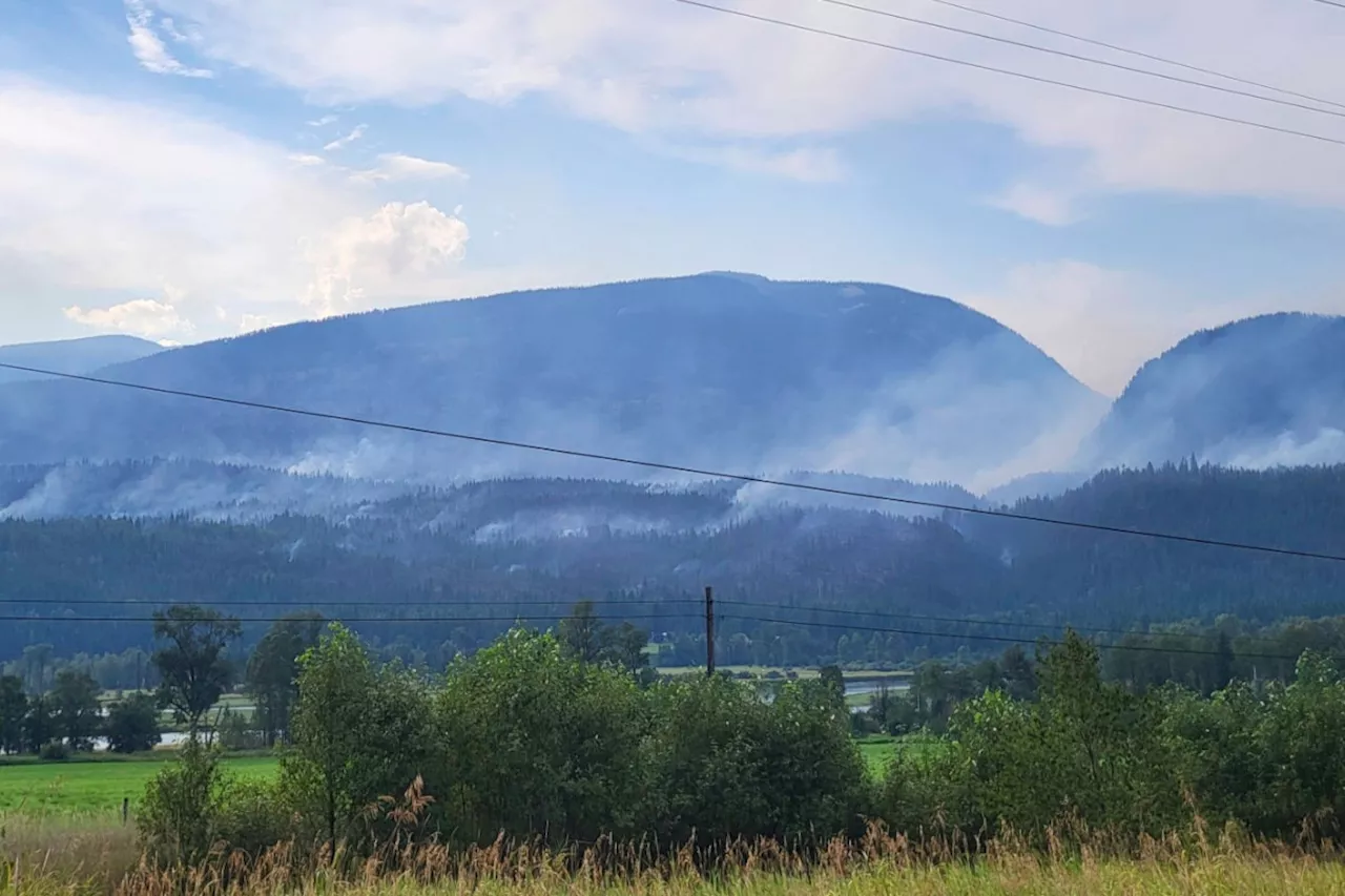 UPDATE: 5 homes destroyed by Slocan Valley fires