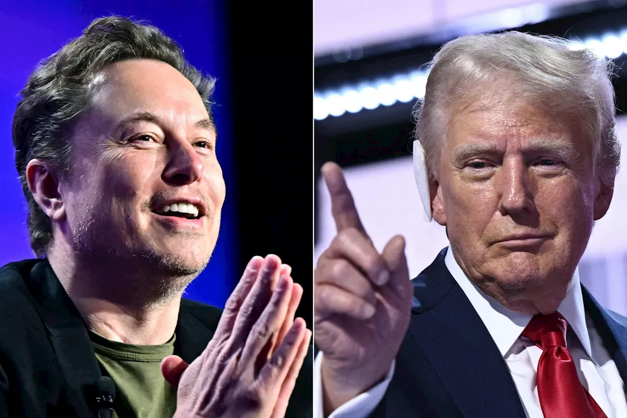 EU advarer Musk før Trump-prat