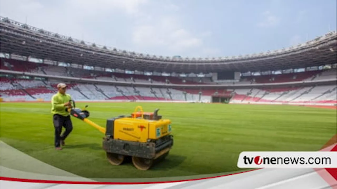 Intip Kondisi Rumput Stadion GBK Jelang Laga Timnas Indonesia Vs Australia, PSSI Soroti Hal Ini