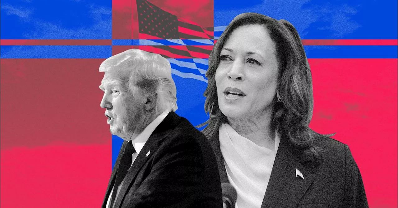 Trump falsely claims Kamala Harris ‘A.I.’d’ her rally crowd size