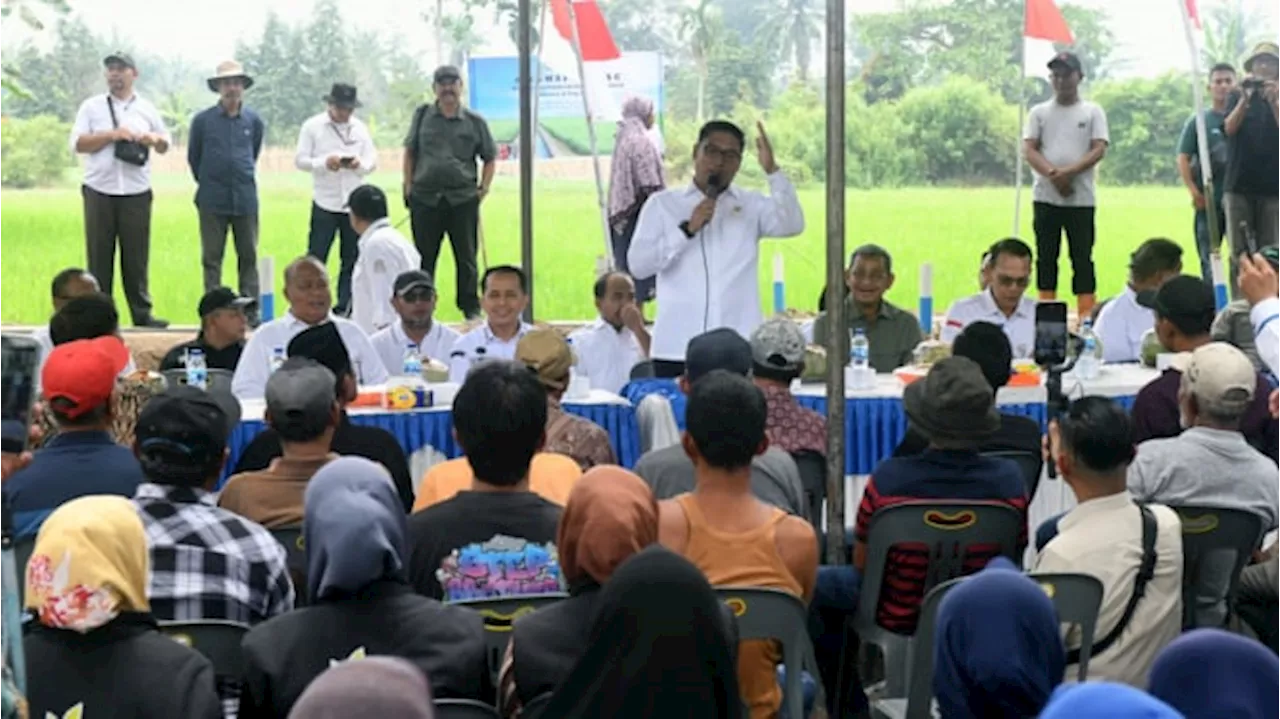 Wamentan Sudaryono Sebut Food Estate Deliserdang Jadi Percontohan Sentra Produksi Pertanian