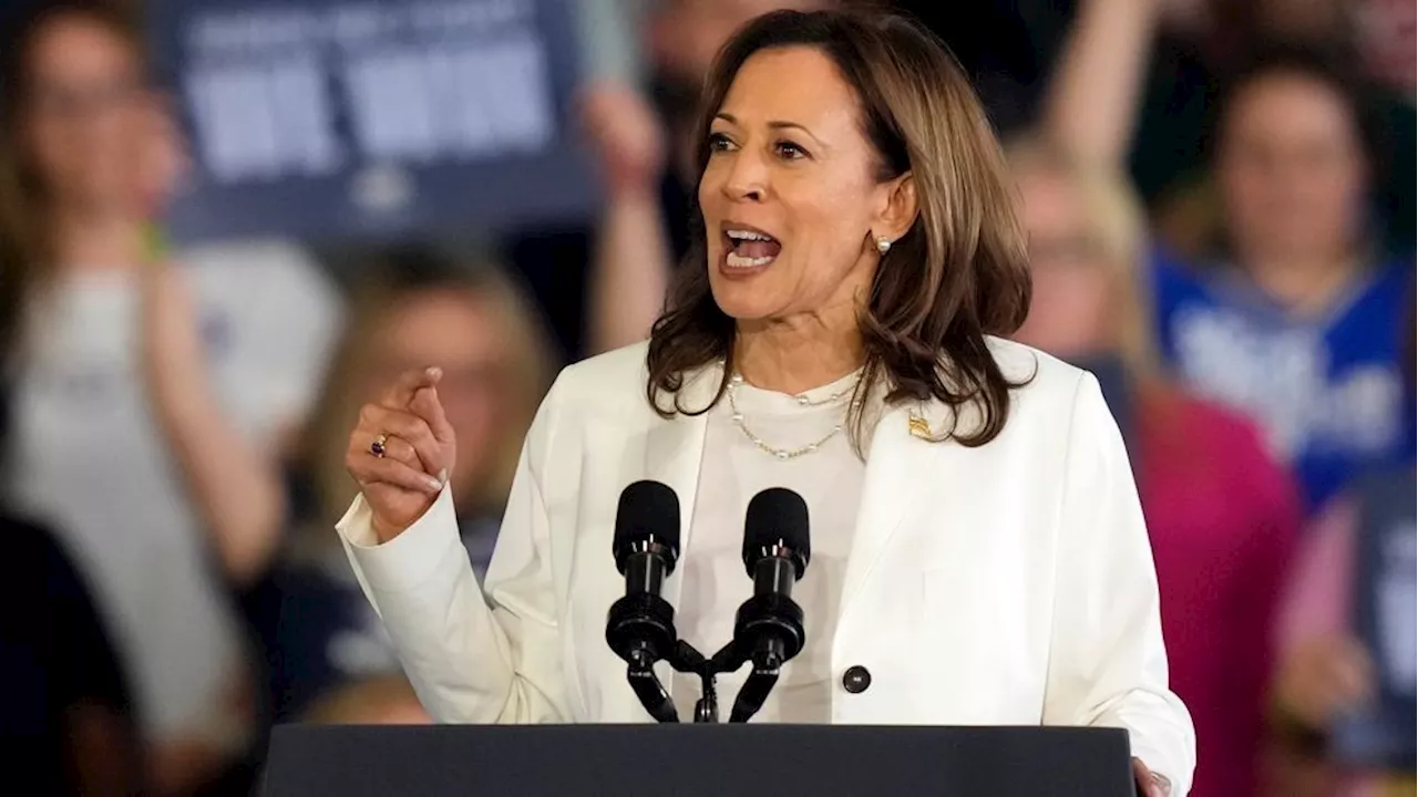 House Oversight Committee looks to investigate VP Kamala Harris' border record