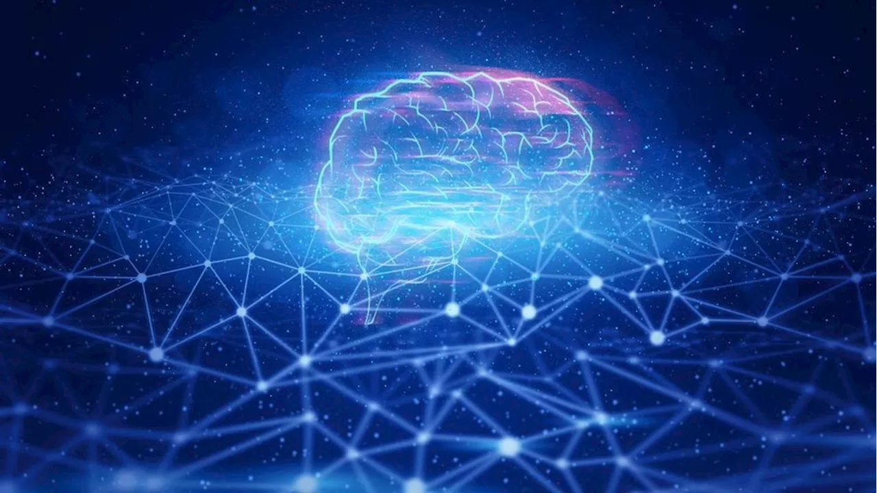 Study suggests link between brain structure and conduct disorder