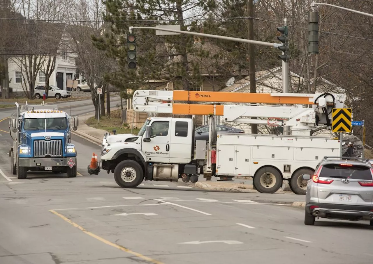 Bird on a wire: New Brunswick Power blames ospreys for outages on sunny days