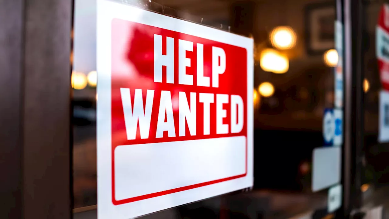 Labor market still 'considerably healthy' despite July shock