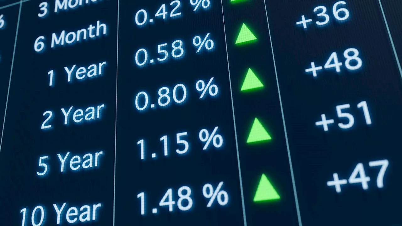 Navigating the bond market ahead of Fed rate cuts