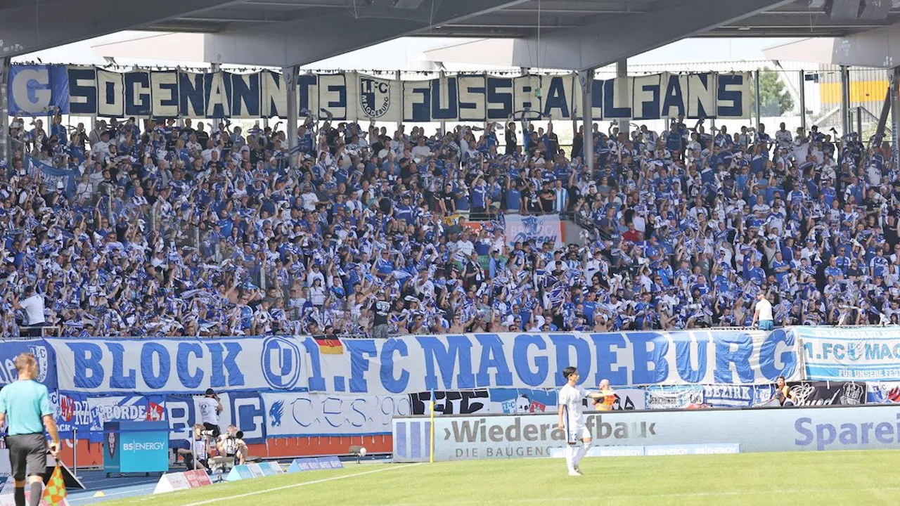 Die 11FREUNDE-Kurvenschau: Sogenannte Fußballfans im Fokus