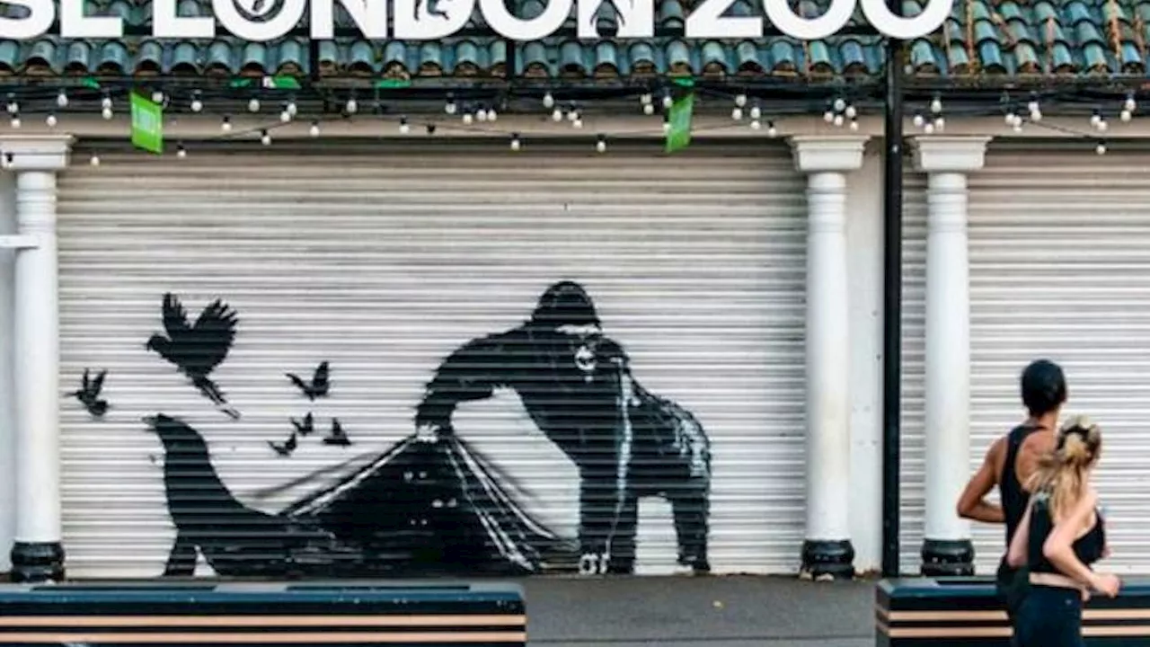 Banksy: Kunstwerk am Londoner Zoo zeigt Ausbruch der Tiere