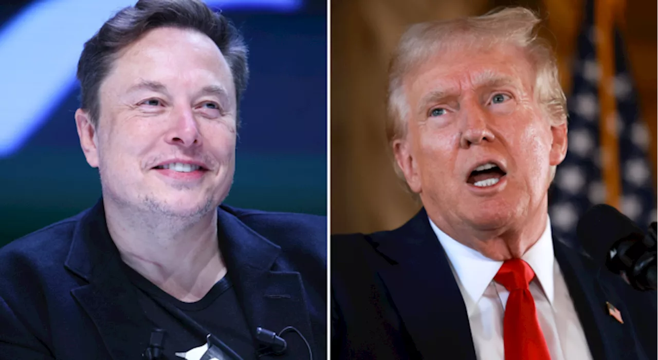 Trump interview with Musk stutters after 'cyber attack'