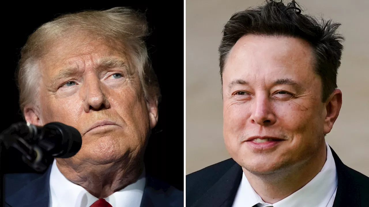 UAW files federal labor charges against Donald Trump and Elon Musk