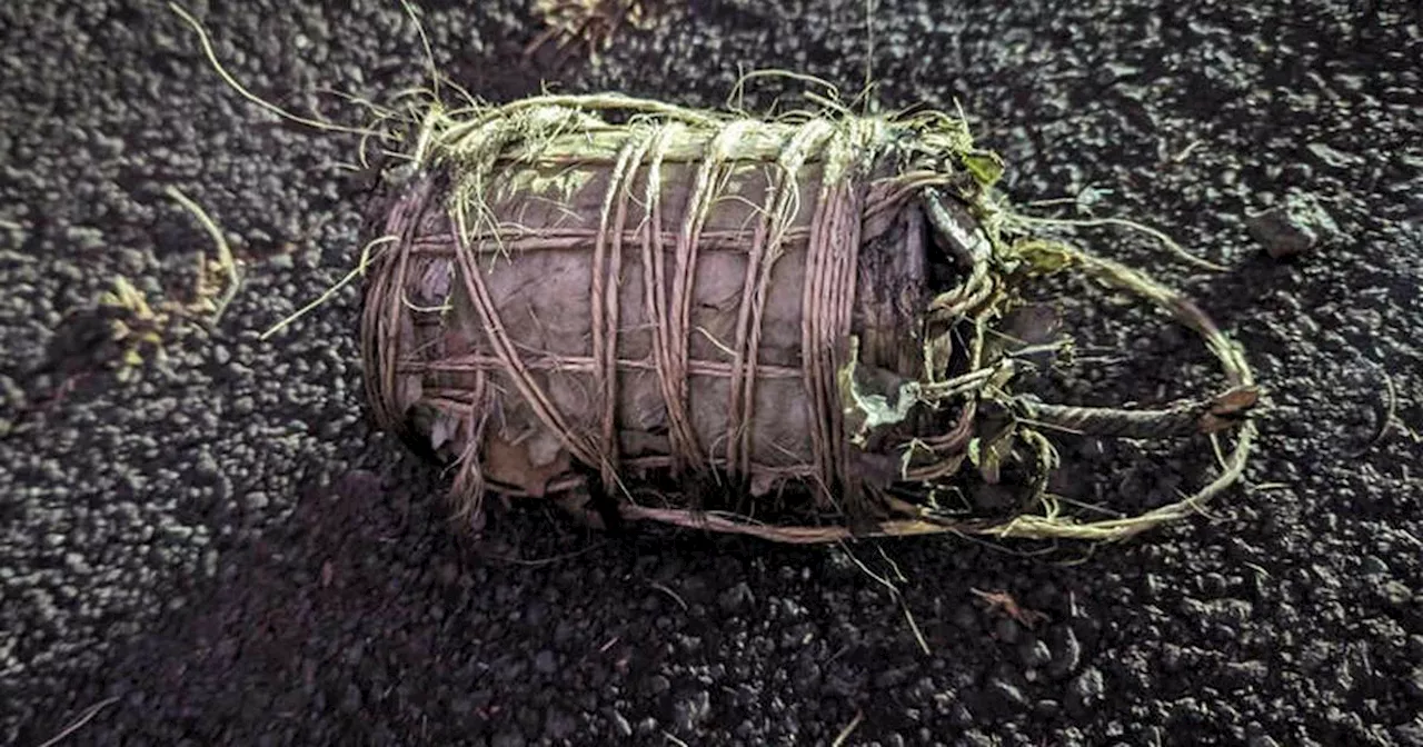 Maui police charge man in connection with trash can bomb explosion