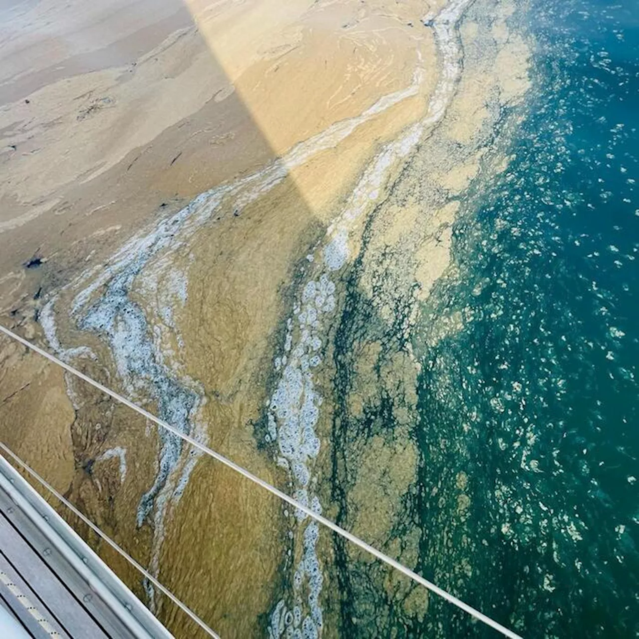 Mucillagine nell'Adriatico, a Rimini è boom delle piscine