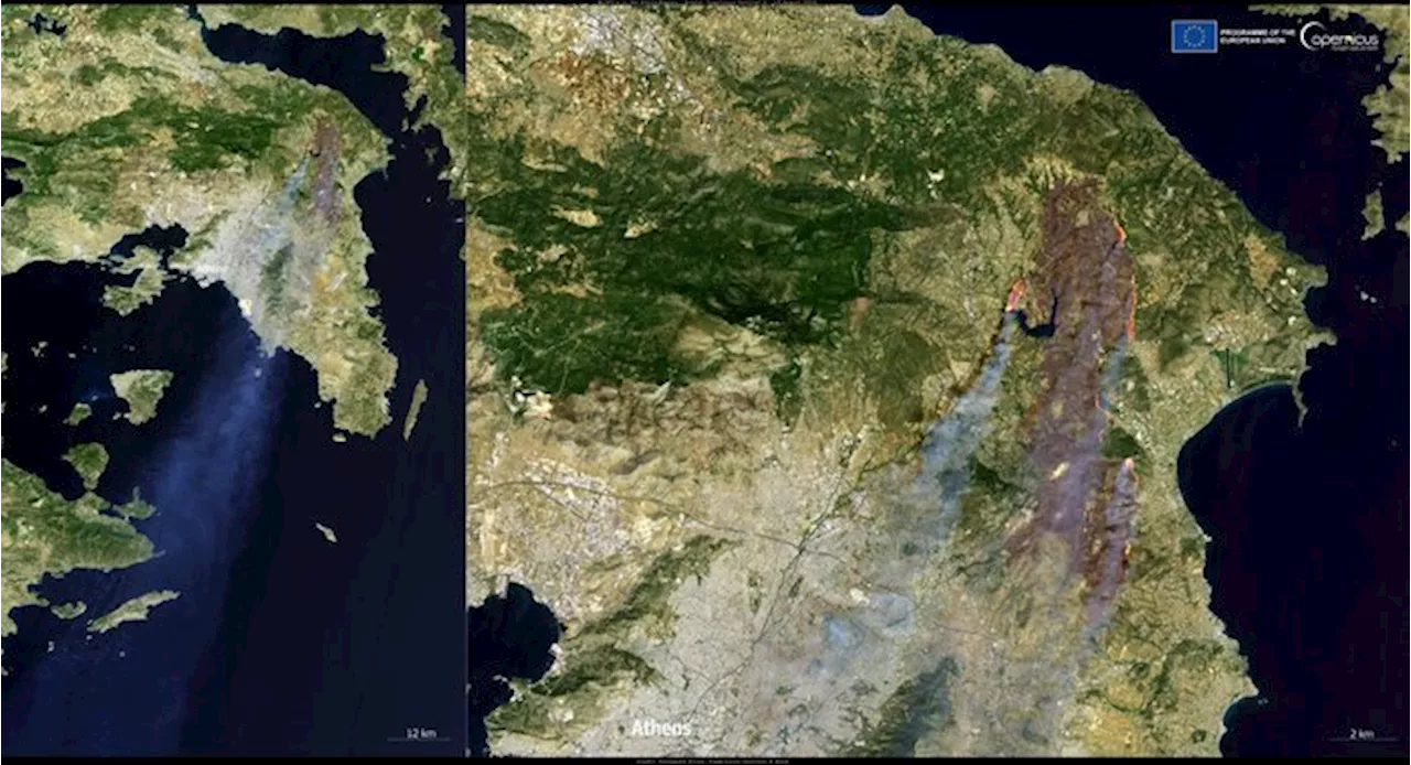 Satelliti sull'incendio in Grecia, 300 Km di fumo