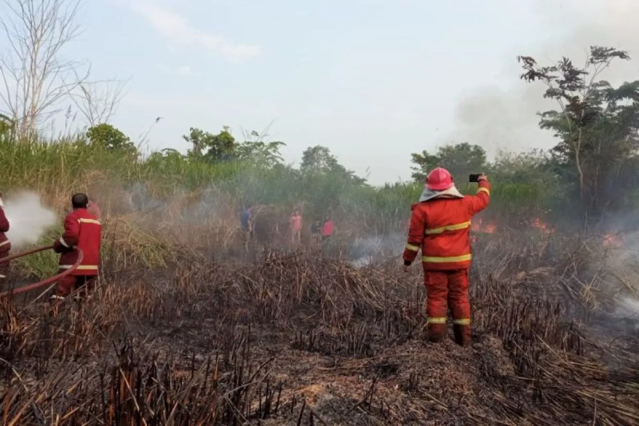 Damkar Jambi turunkan 12 armada padamkan 3,5 ha lahan terbakar